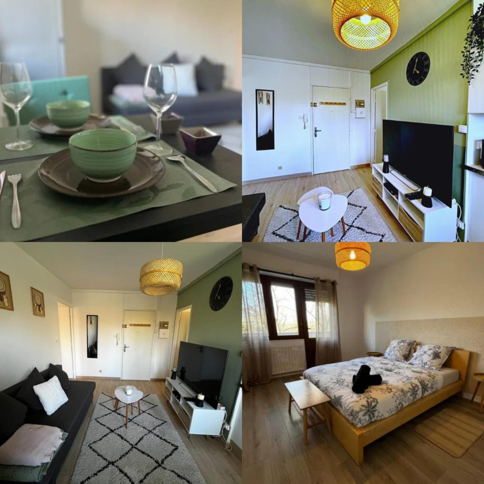 Cosy Rent Strasbourg Appartement Wifi Terrasse Esterno foto